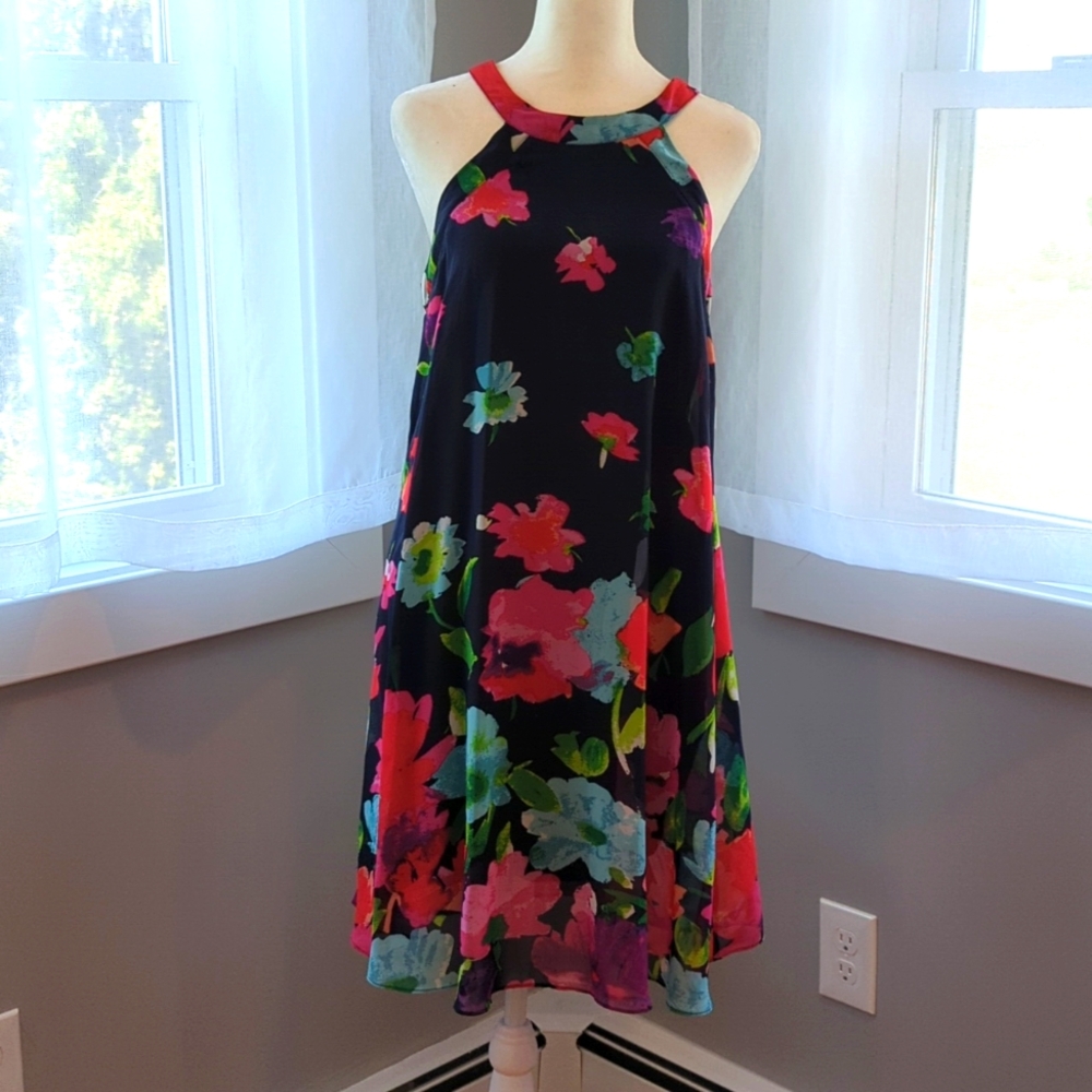 Bestey Johnson Floral Swing Dress spring